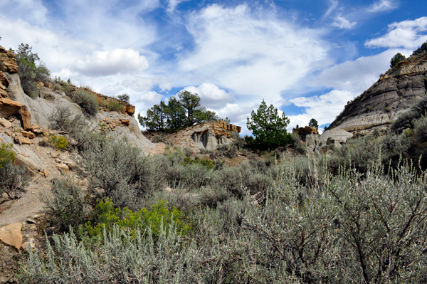 Cap Rock at Makoshika State Park